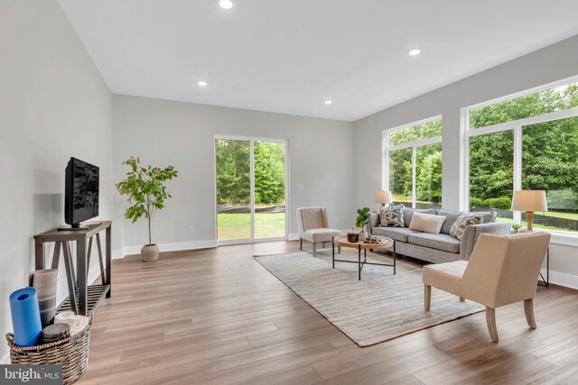 living room with light hardwood / wood-style floors