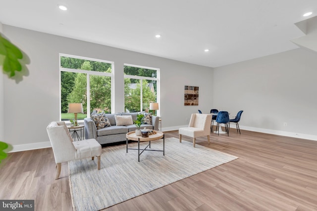 living room featuring light hardwood / wood-style flooring