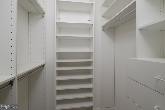 view of spacious closet