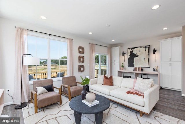 living room with hardwood / wood-style floors