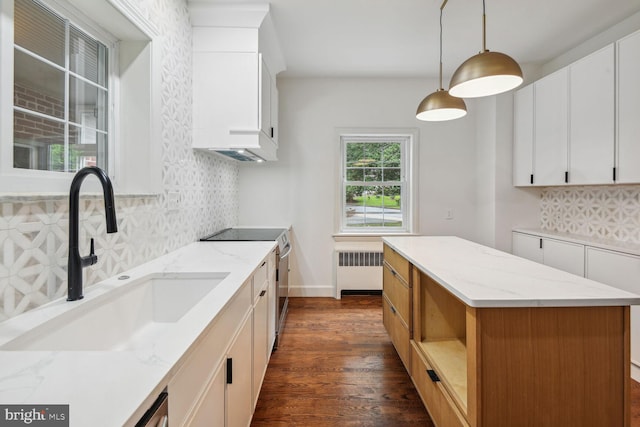 kitchen featuring dark hardwood / wood-style floors, sink, radiator heating unit, and white cabinets