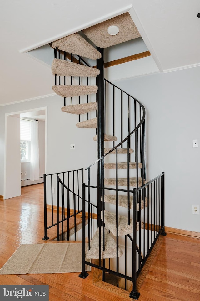 staircase with hardwood / wood-style flooring and a baseboard radiator