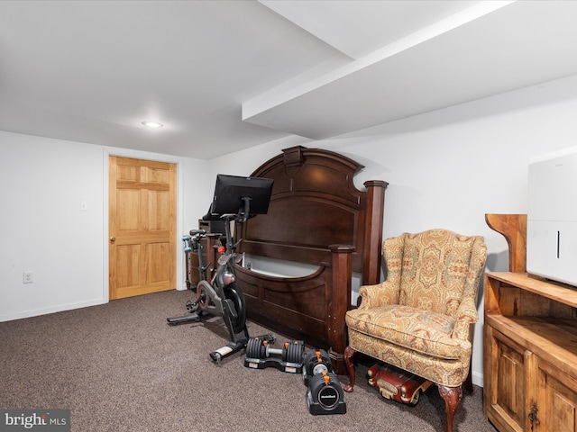 exercise room with carpet flooring