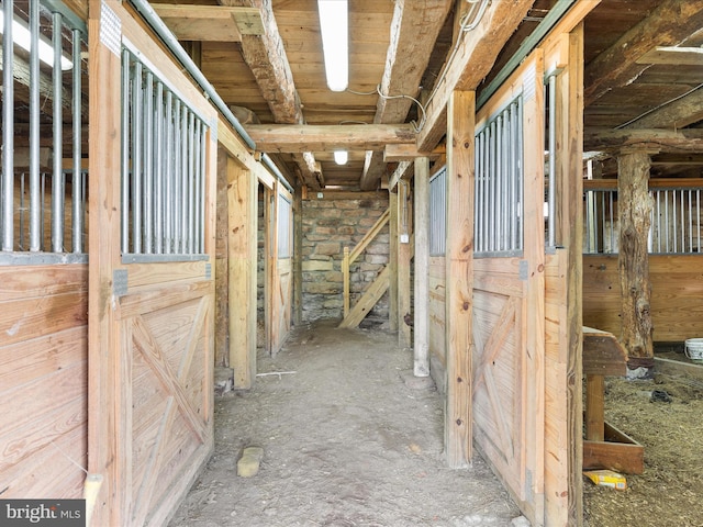 view of horse barn