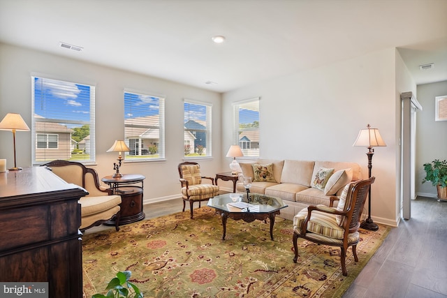 living room featuring hardwood / wood-style floors