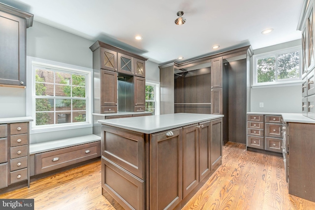 walk in closet with light hardwood / wood-style floors