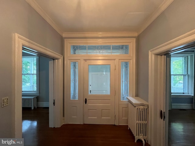 foyer entrance featuring radiator, a wealth of natural light, and dark hardwood / wood-style flooring