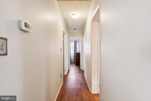 corridor featuring hardwood / wood-style flooring, crown molding, and a textured ceiling