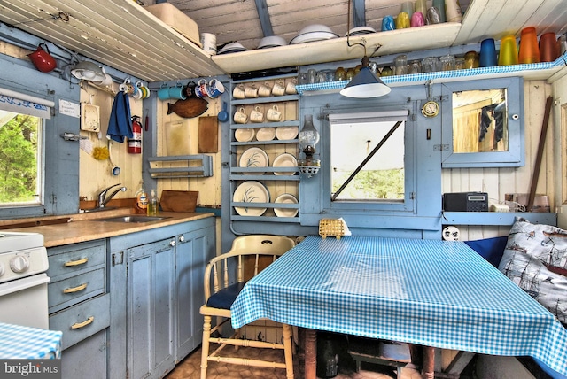 interior space with wooden walls, sink, and wooden ceiling