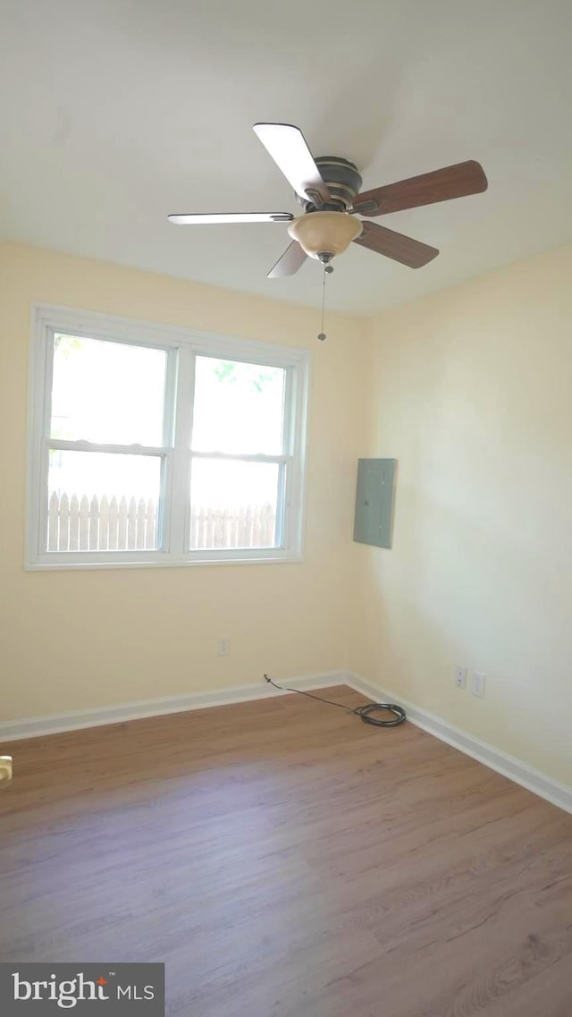 spare room with ceiling fan, wood-type flooring, electric panel, and a wealth of natural light