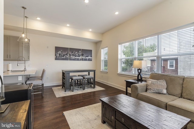 living room featuring sink and dark hardwood / wood-style floors