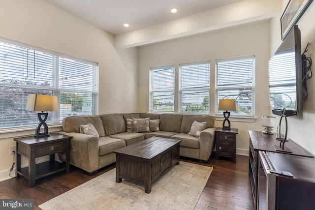 living room featuring dark hardwood / wood-style floors