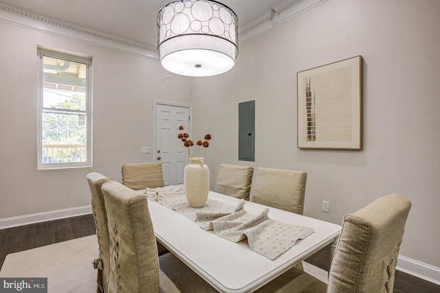 dining room featuring electric panel, crown molding, and dark hardwood / wood-style flooring