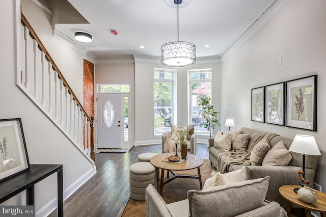 living room featuring ornamental molding and dark hardwood / wood-style flooring