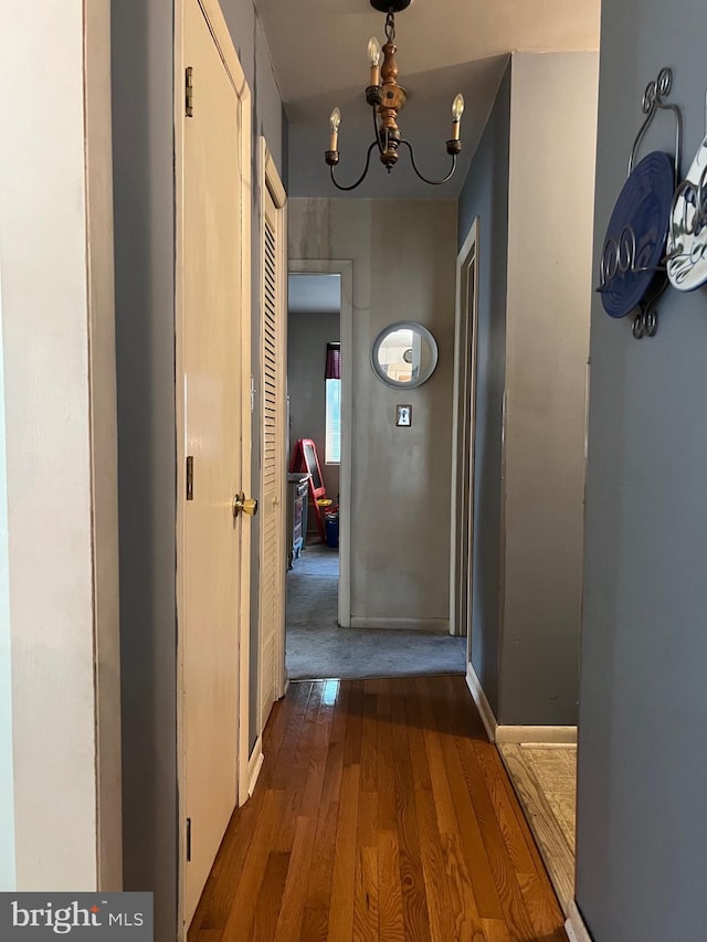 hallway with wood-type flooring and a chandelier