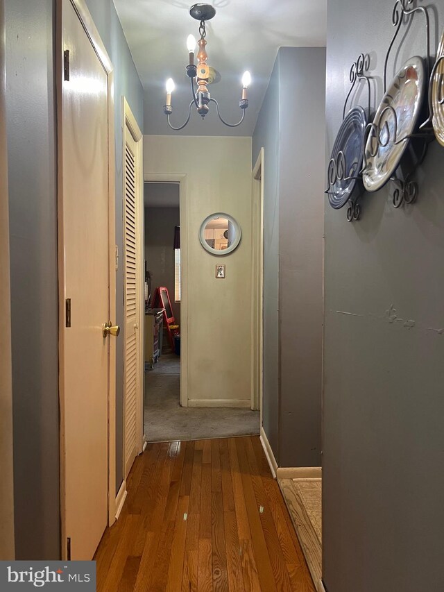 corridor featuring hardwood / wood-style floors and a notable chandelier