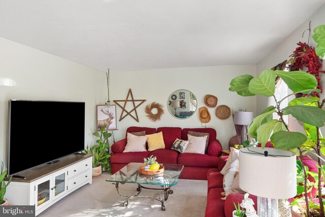 view of carpeted living room