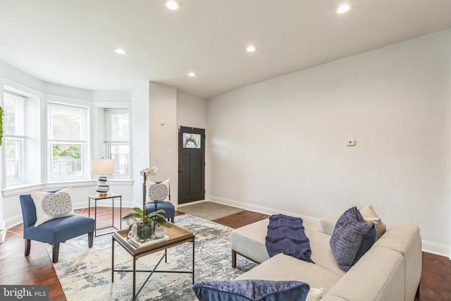 living room with wood-type flooring