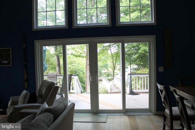 doorway featuring light wood-type flooring and plenty of natural light