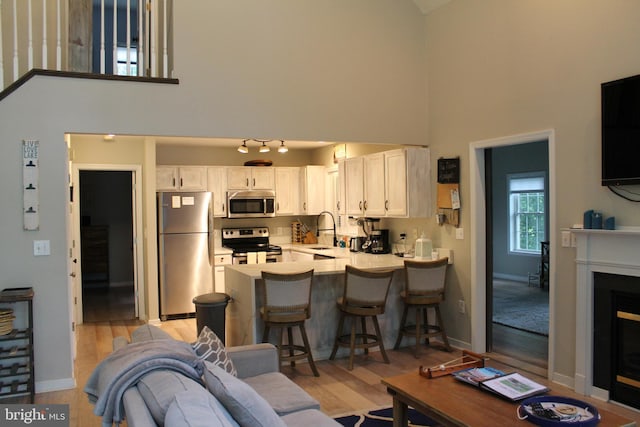 living room with sink, a towering ceiling, and light hardwood / wood-style floors