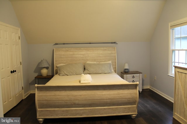 bedroom featuring dark wood-type flooring, vaulted ceiling, and a closet