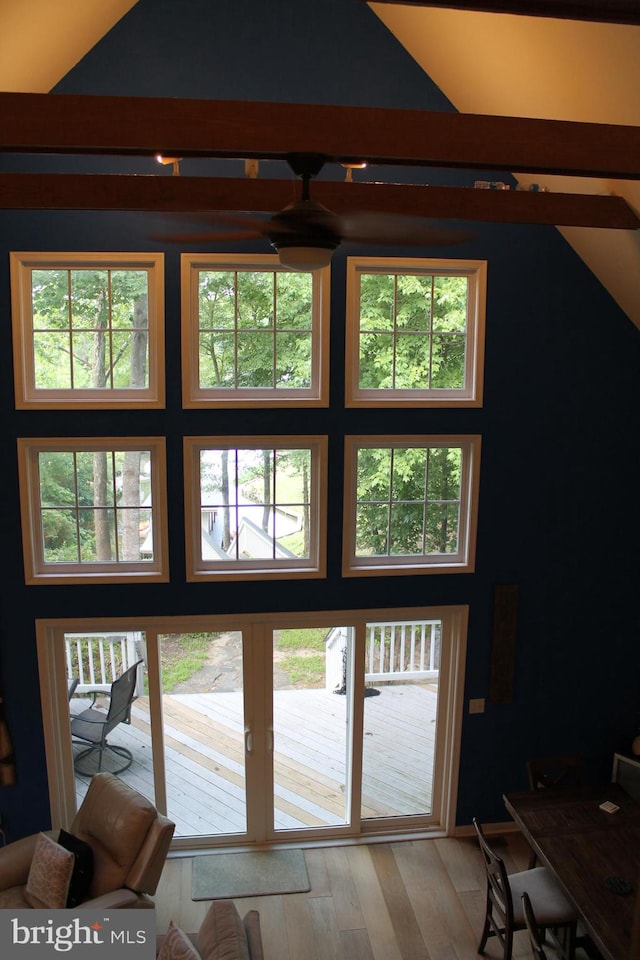 doorway featuring light hardwood / wood-style flooring, a towering ceiling, and a healthy amount of sunlight