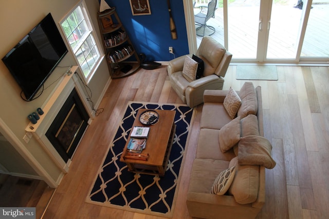 living room featuring wood-type flooring