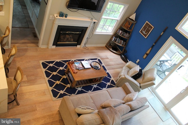 living room with hardwood / wood-style flooring