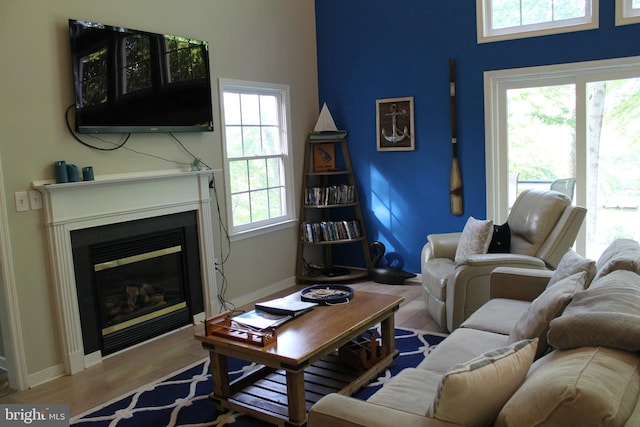 living room with light hardwood / wood-style flooring and plenty of natural light