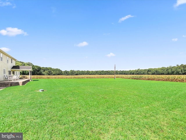 view of yard with a rural view