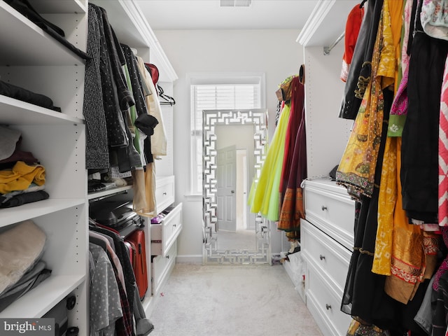 spacious closet with light colored carpet