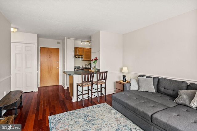 living room featuring dark wood-type flooring