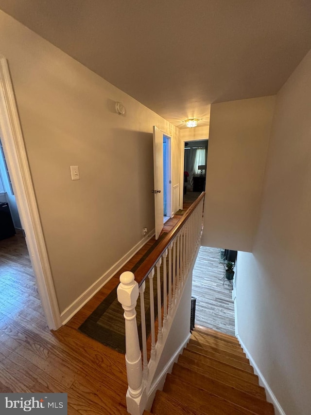 stairs with hardwood / wood-style flooring