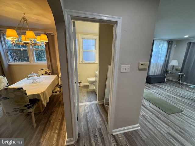 hall featuring dark hardwood / wood-style flooring, an inviting chandelier, and a healthy amount of sunlight