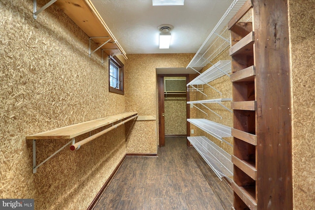 spacious closet with dark hardwood / wood-style flooring