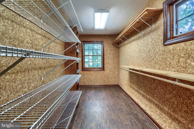 spacious closet featuring dark hardwood / wood-style flooring