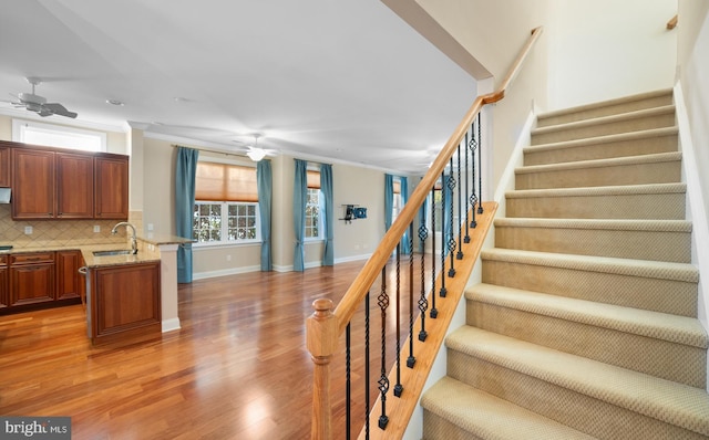 staircase featuring hardwood / wood-style flooring, crown molding, sink, and ceiling fan