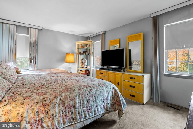 bedroom featuring carpet flooring and multiple windows