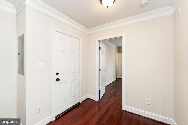 corridor with crown molding, dark wood-type flooring, and electric panel