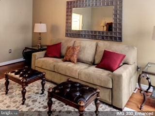 living room featuring hardwood / wood-style flooring