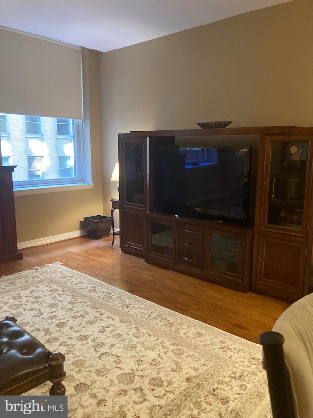 living room featuring hardwood / wood-style floors