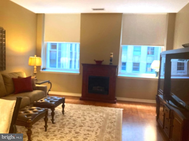 living room featuring hardwood / wood-style floors