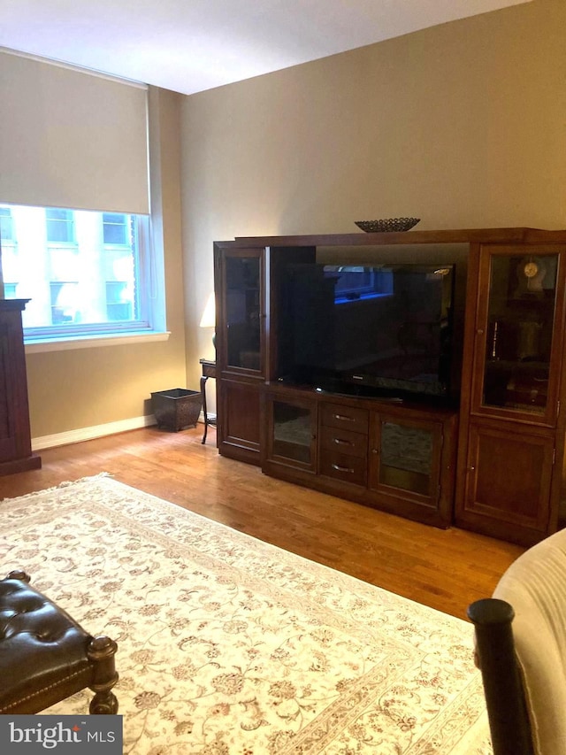 living room featuring hardwood / wood-style flooring