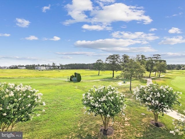 view of home's community with a yard