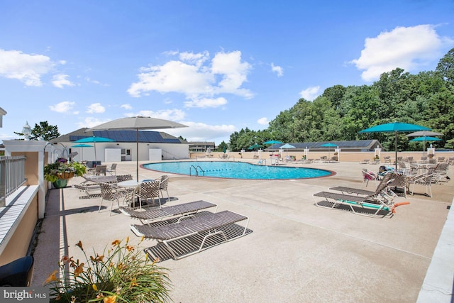 view of swimming pool with a patio area