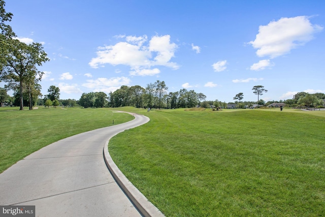 view of community with a lawn