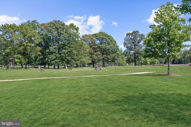 view of community featuring a lawn