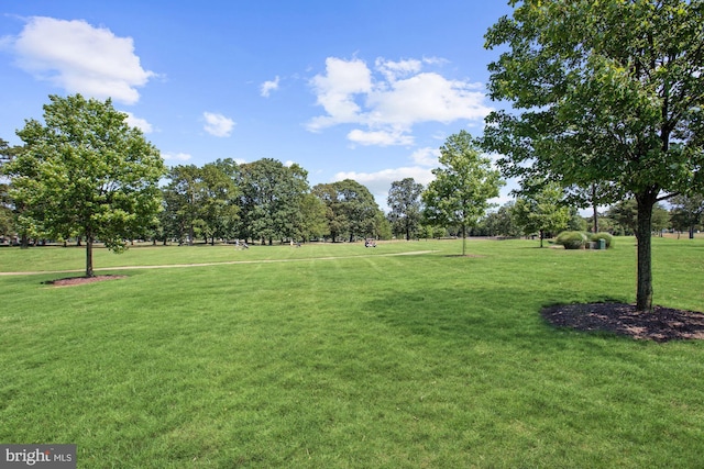 view of property's community featuring a yard