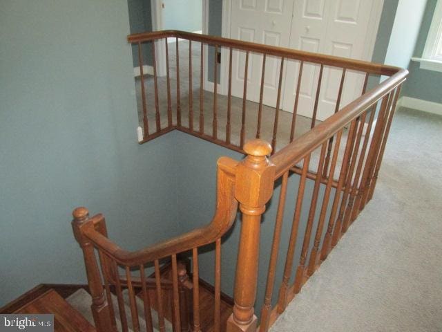 stairway with carpet flooring