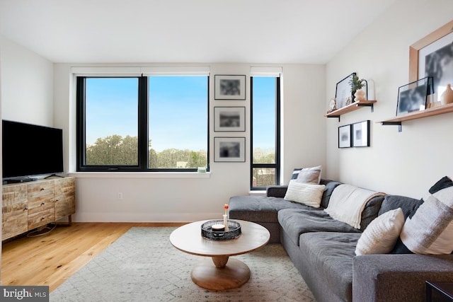 living room featuring hardwood / wood-style flooring